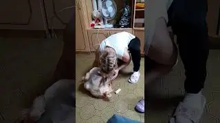 6 августа 2024 г.