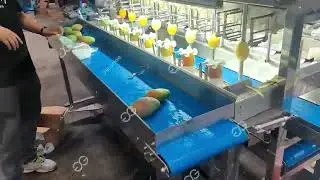 Mango Peeling Processing Machine #mango #peeler