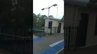 Train stop at Martin's Creek, NSW, Australia #shorts