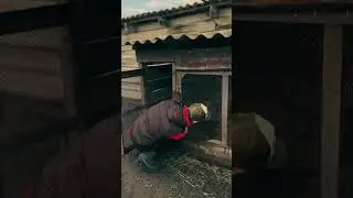 2 мая 2024 г.
