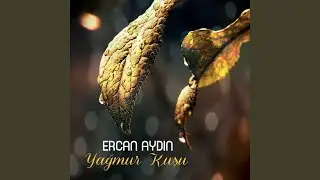 Yağmur Kuşu