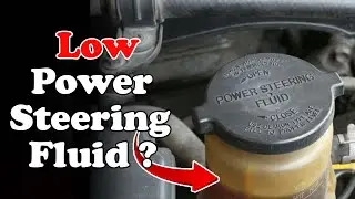 Symptoms of Low Power Steering Fluid