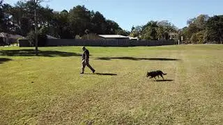 Karens 1st Mavic flight
