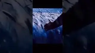 САМОСВАЛЫ ЗЕРНОВОЗЫ ПРОИЗВОДСТВА СПЕЦАГРОТРЕЙД НА ПОЛЕВЫХ РАБОТАХ В РЕСПУБЛИКЕ БАШКОРТОСТАН
