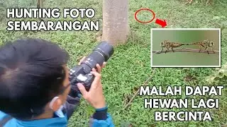 Hunting Foto Makro Di Sembarangan Tempat Malah Dapat Hewan Lagi Bercinta | Tips Fotografi