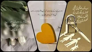 achi baten // aqwal  e zaren  // Urdu quotes dp // golden words Dpz //
