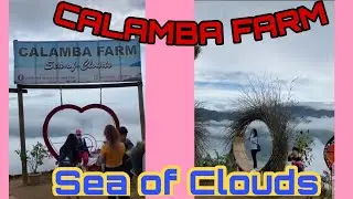 SEA OF CLOUD @CALAMBA LAGUNA