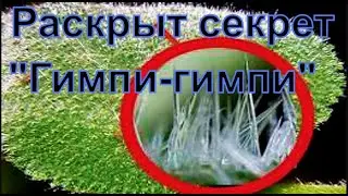 В чем секрет  