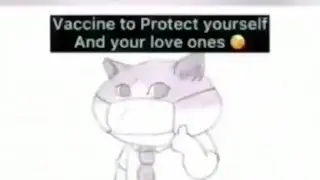 How vaccine works