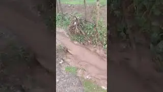 ОФАТИ ТАБИИ ДАР ОХБУЛОҚ!