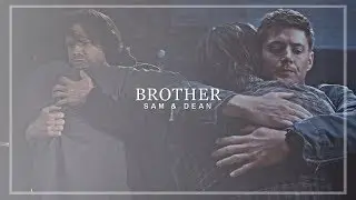 sam & dean || brother let me be your shelter.