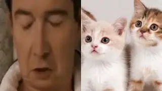 Rick Astley On Cat Pictures: “Incredible”, “Amazing.”