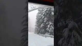 snowfall ☃️❄️ live #shortvideo #shorts #viral #fun