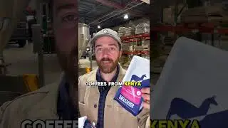 Backyard Beans Coffee Co. - Our Color Labels Explained