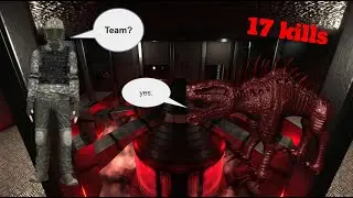 DOG x CHAOS I SCP:SL