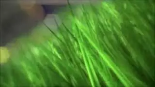 Vinheta Rede Globo 2014 (Versão Futebol)