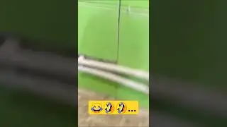 Смех в ванной 
