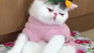 Доброе утро.