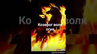 Какой у вас знак зодиака? Напишите в комментариях