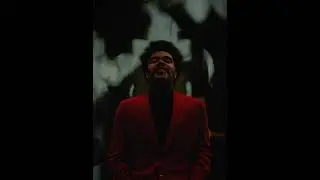 「 THE WEEKND 」