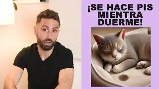 ¿Por qué mi gato se hace pis mientras duerme?