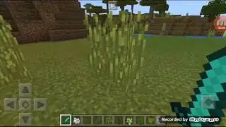 How to spawn trees in minecraft