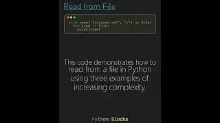 Python Read from File Expert