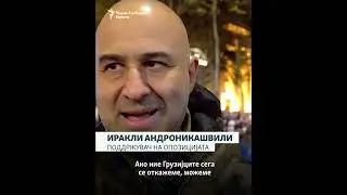 Поддржувачите на грузиската опозиција масовно на улиците на Тбилиси