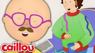 Caillou Le Farceur | Les Nouvelles Aventures de Caillou | S3: É18