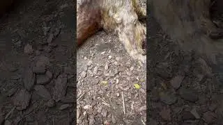 Расслабьтесь уже)) Просто у некоторых получается лучше