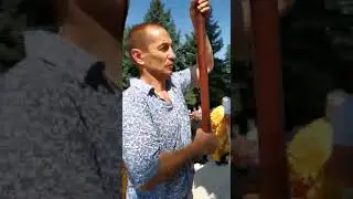 Крестный ход в честь Великомученика и целителя Пантелеймона