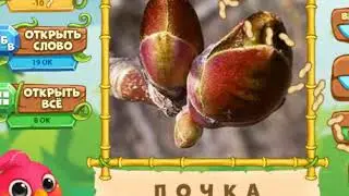 ответы на игру Птица говорун
