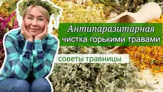 Антипаразитарная чистка горькими травами