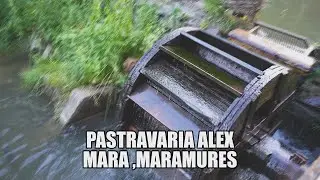 Pastravaria Alex in Mara  Maramures