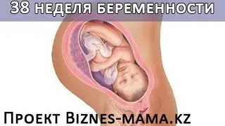 38 неделя беременности