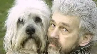 Funny Dogs Who Look Like Their Owners