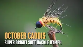 Super Bright October Caddis For Trout and Steelhead
