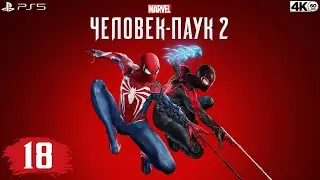 Marvel Человек-Паук 2 / Marvel Spider-Man 2 🕷️ Часть 18 [PS5/4К/60] 🔞