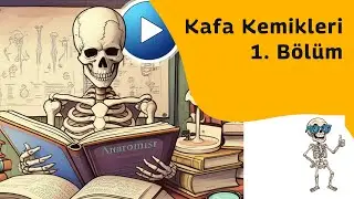 Kafa Kemikleri Bölüm 1 (Kafa kemiklerine giriş) [Anatomi Teorik]