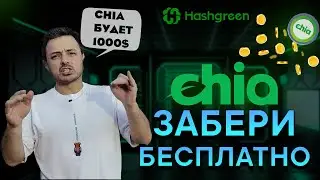 ТЕСТНЕТ CHIA NETWORK | Заработок БЕЗ ВЛОЖЕНИЙ | Пошаговая инструкция