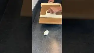 phillycreamchs challenge‼️ #creamcheese #challenge #kitchentools