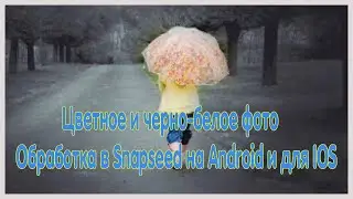 Цветное и черно-белое фото | Обработка в Snapseed на Android и для IOS