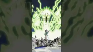 Brook did NOTHING during the Time Skip