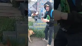 накормили уличного пса шашлыком