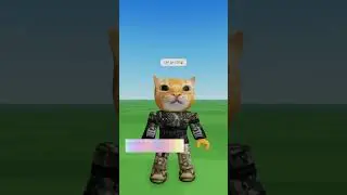 СЕР ДА СЕР😂 