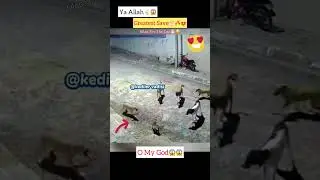 MashAllah ☝️😇 Greatest Save 😍 