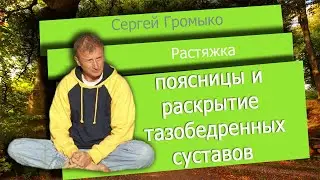 Растяжка поясницы и раскрытие тазобедренных суставов