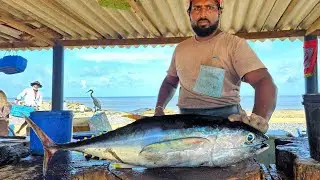 Huge Yellowfin Tuna Fish Cutting Skill Like Boss | Fastest Big Tuna Fish Cutting Skill