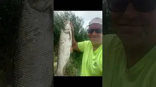 Рыбалка в Польше Рыбалка в Варшаве Рыбалка на Висле. Рыбалка на спиннинг  ловля Жереха ловля Сом