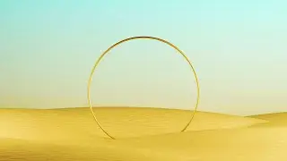 The Ambientalist - Circle Of Life